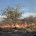Alertan por incendios forestales en Álamos