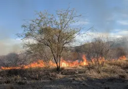 Crecen riesgos de incendios forestales