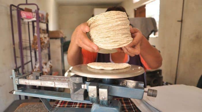 A punto de llegar a 30 pesos el costo de tortilla en Cajeme