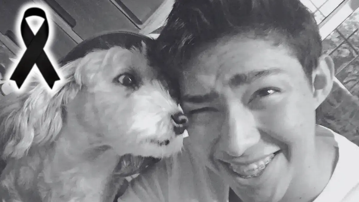 Curly, el perrito de Fernanfloo, muere y el youtuber lo despide en video.