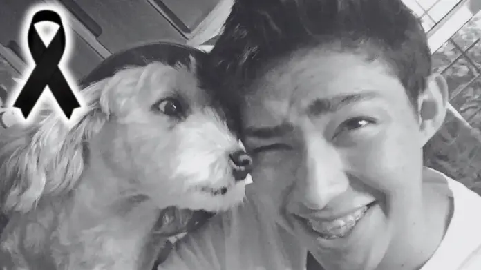 Diario del Yaqui - Curly, el perrito de Fernanfloo, muere y el youtuber lo  despide en video.