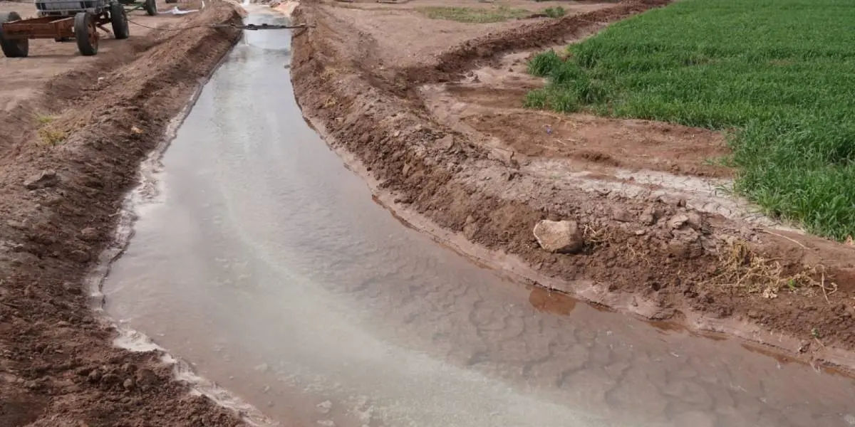 Impacta rendimientos la salinidad en pozos