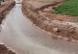Impacta rendimientos la salinidad en pozos