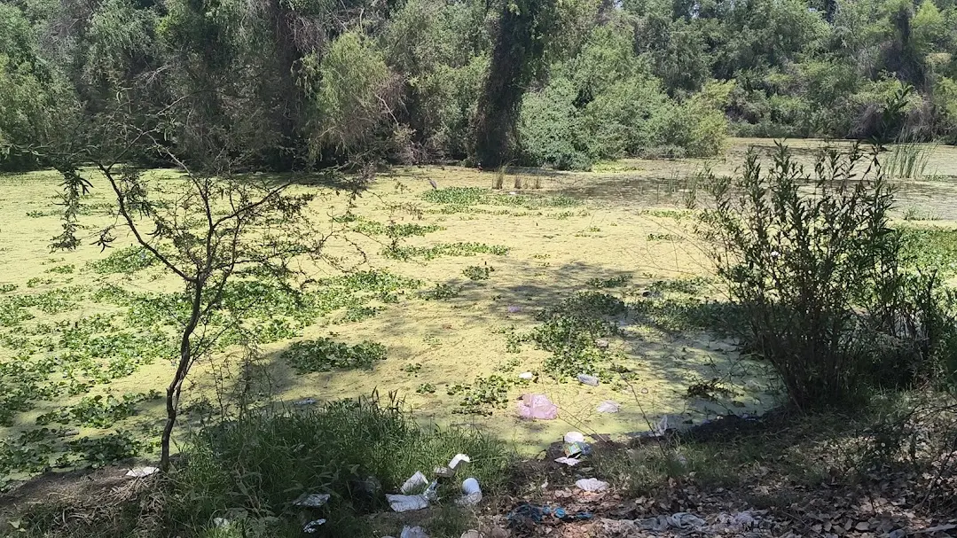 Piden apoyo para la limpieza del Río Yaqui en Bácum