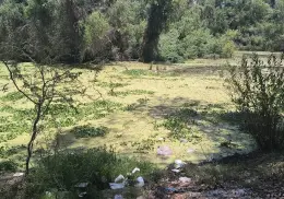 Piden apoyo para la limpieza del Río Yaqui en Bácum