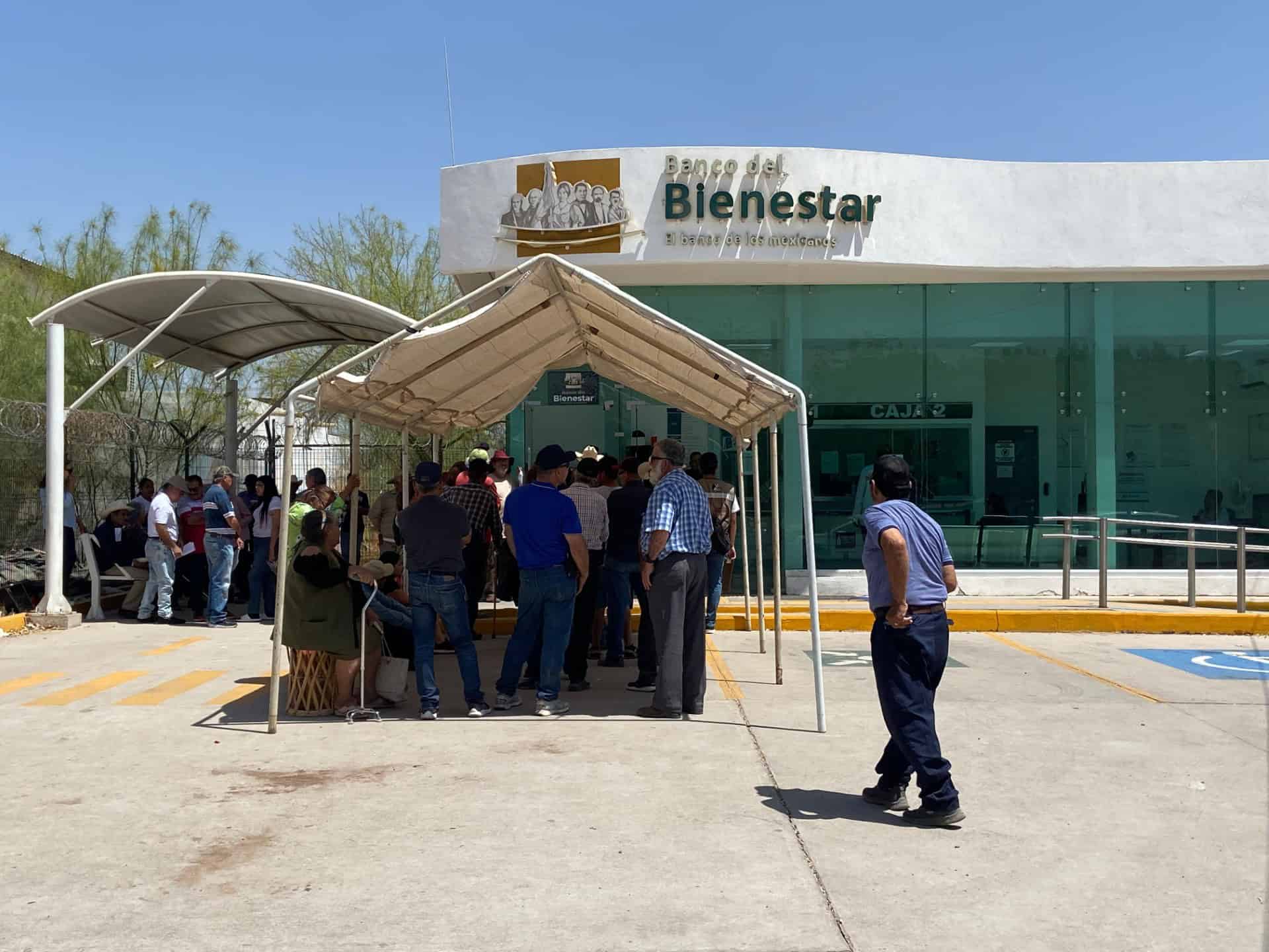Ni el calor retrasa la entrega de apoyos Bienestar en Navojoa