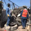 Amenaza por dengue en Navojoa