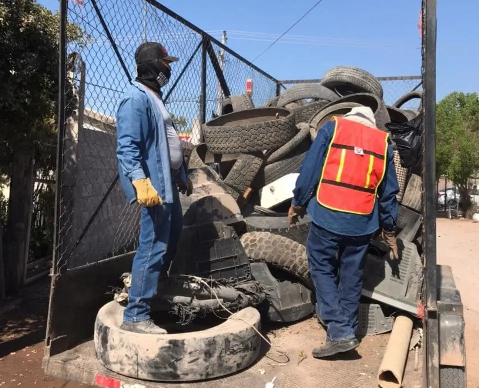 Amenaza por dengue en Navojoa