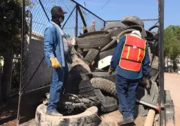 Amenaza por dengue en Navojoa