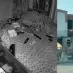 VIDEOS | Así se vivió el terremoto en Nuevo León; reportan daños en fraccionamientos