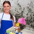 3 remedios caseros para eliminar el moho de las paredes de manera fácil y rápida