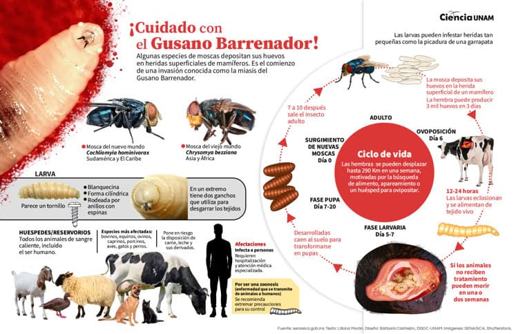 imagen-cuerpo imagen-cuerpo