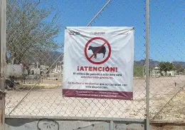 Velatorio DIF pide a propietarios de ganado cuidar que no ingresen a panteones