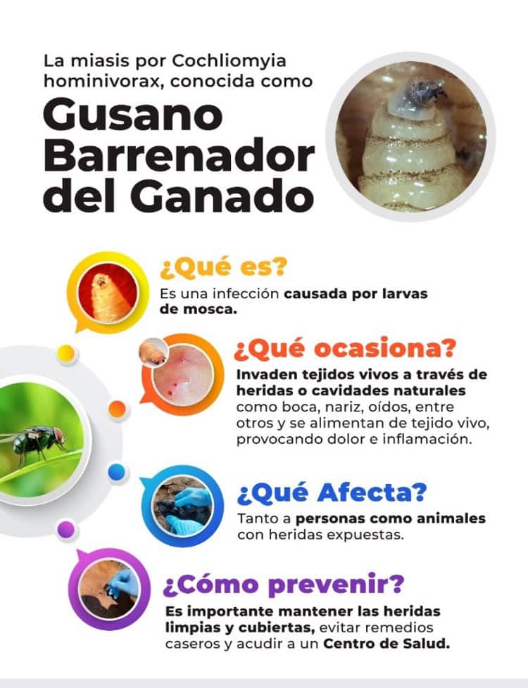 imagen-cuerpo imagen-cuerpo