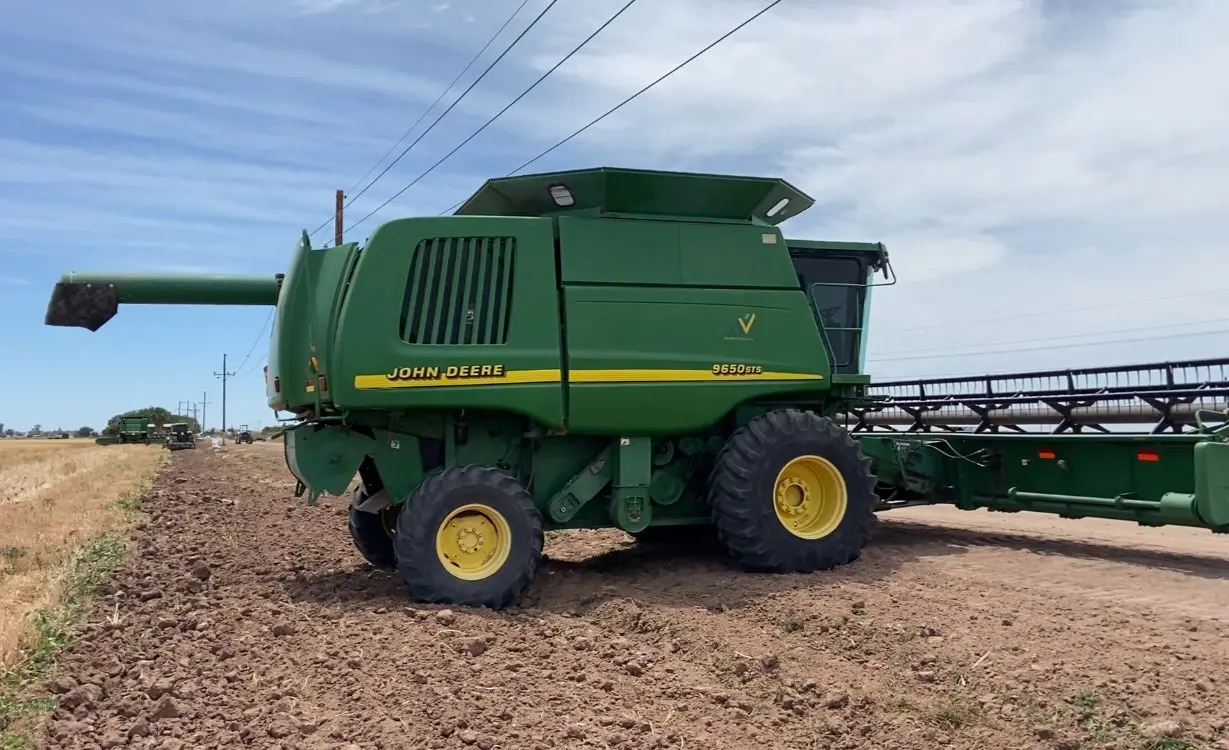 Costos de producción no se elevaron este ciclo en el Valle del Mayo