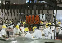 Unión Ganadera propone crear un rastro
