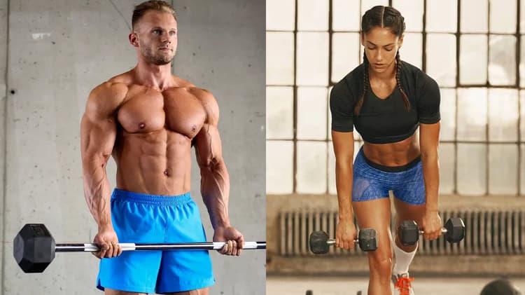 imagen-cuerpo imagen-cuerpo