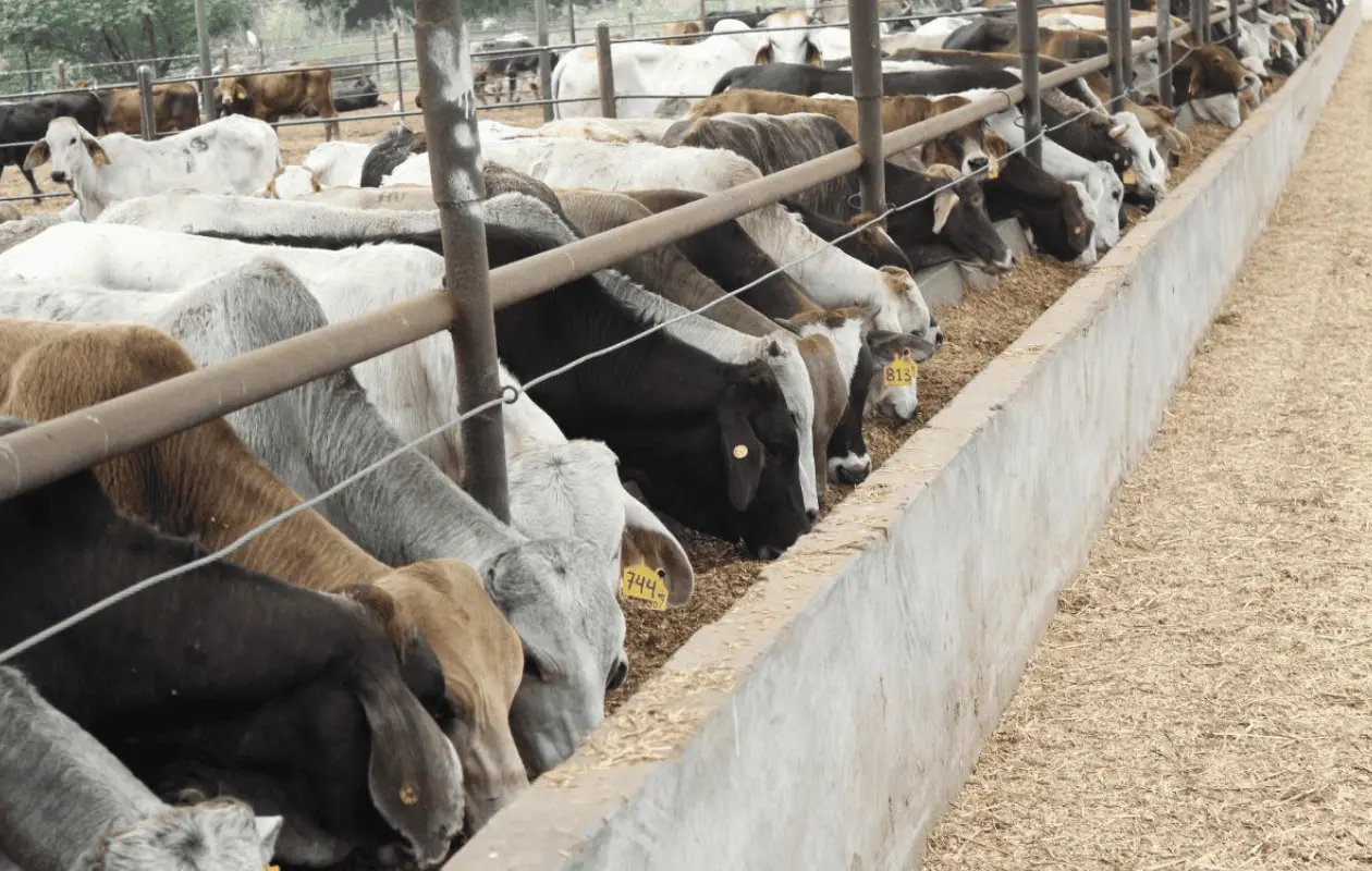 El gobierno federal ha reforzado las medidas sanitarias