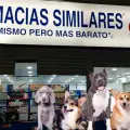 ¿Habrá veterinarias de Similares? Farmacias lanza “Simi Pet Care”, su nueva apuesta para la salud animal