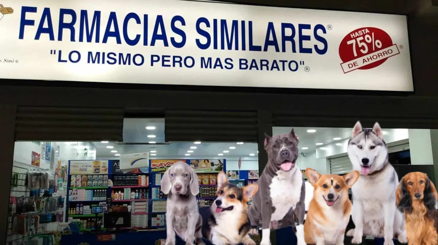 ¿Habrá veterinarias de Similares? Farmacias lanza “Simi Pet Care”, su nueva apuesta para la salud animal
