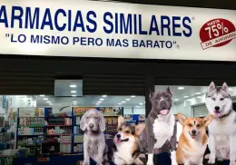¿Habrá veterinarias de Similares? Farmacias lanza “Simi Pet Care”, su nueva apuesta para la salud animal