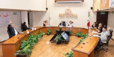 Plataforma Conóceles es visitada hasta por casi 2 mil personas al día