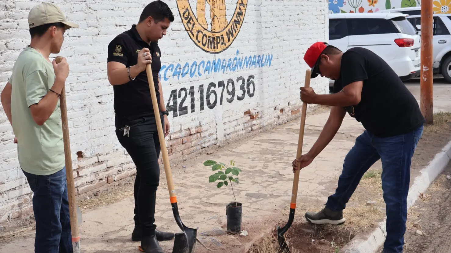 Realizan segunda etapa del proyecto Semillas Verdes
