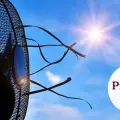 Este ventilador es perfecto para los pasar las altas temperaturas y cuesta menos de 1,000 pesos, según Profeco