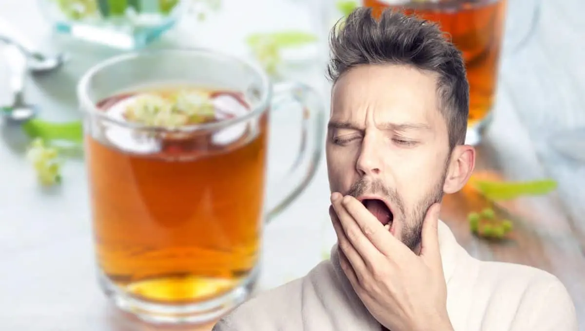 Prueba estas bebidas para tener un descanso profundo / Canva, Pixabay