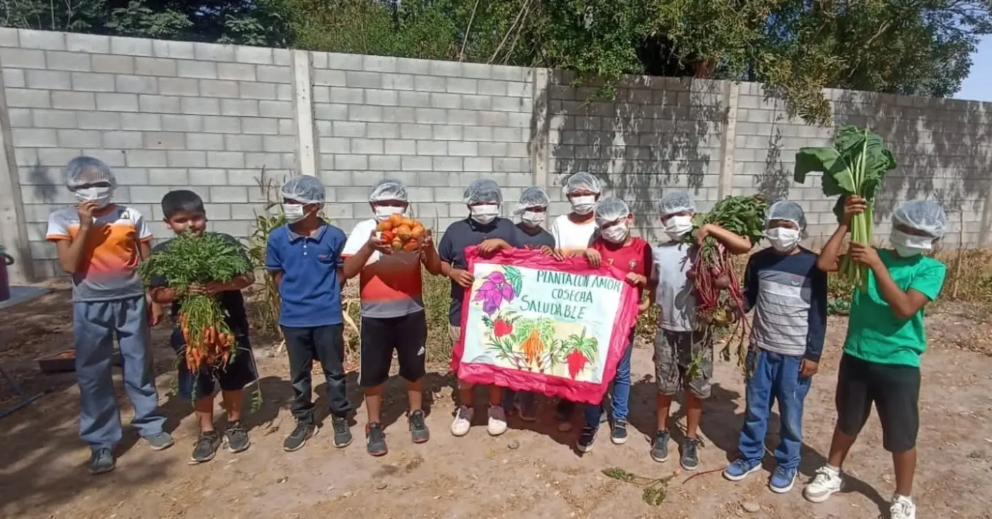 Niños cultivan sus propios alimentos