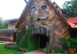 Estos son los museos más aterradores de México