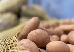 Dotan de papas a los Bancos de Alimentos de Ciudad Obregón