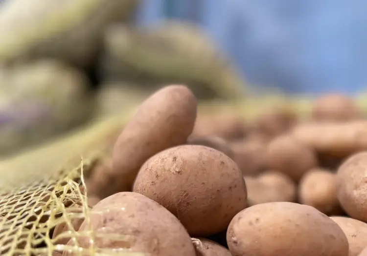 Dotan de papas al Banco de Alimentos de Ciudad Obregón