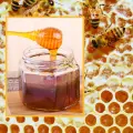 Descubre como producen miel las abejas en un proceso químico natural