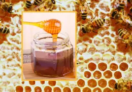 Descubre como producen miel las abejas en un proceso químico natural