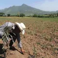Ejidatarios del sur de Sonora piden apoyo económico