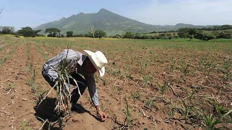 Ejidatarios del sur de Sonora piden apoyo económico