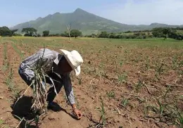 Ejidatarios del sur de Sonora piden apoyo económico