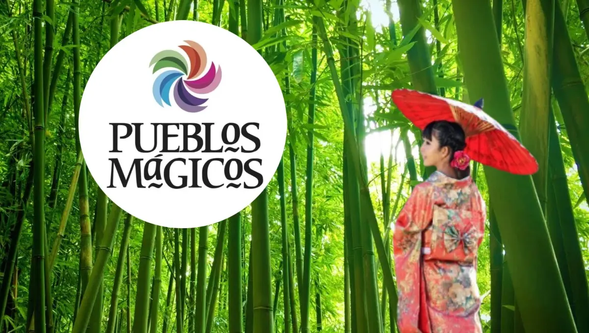 Conoce el pequeño Japón ubicado en un Pueblo Mágico de Puebla. Foto: Original