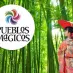 Conoce el pequeño Japón ubicado en un Pueblo Mágico de Puebla