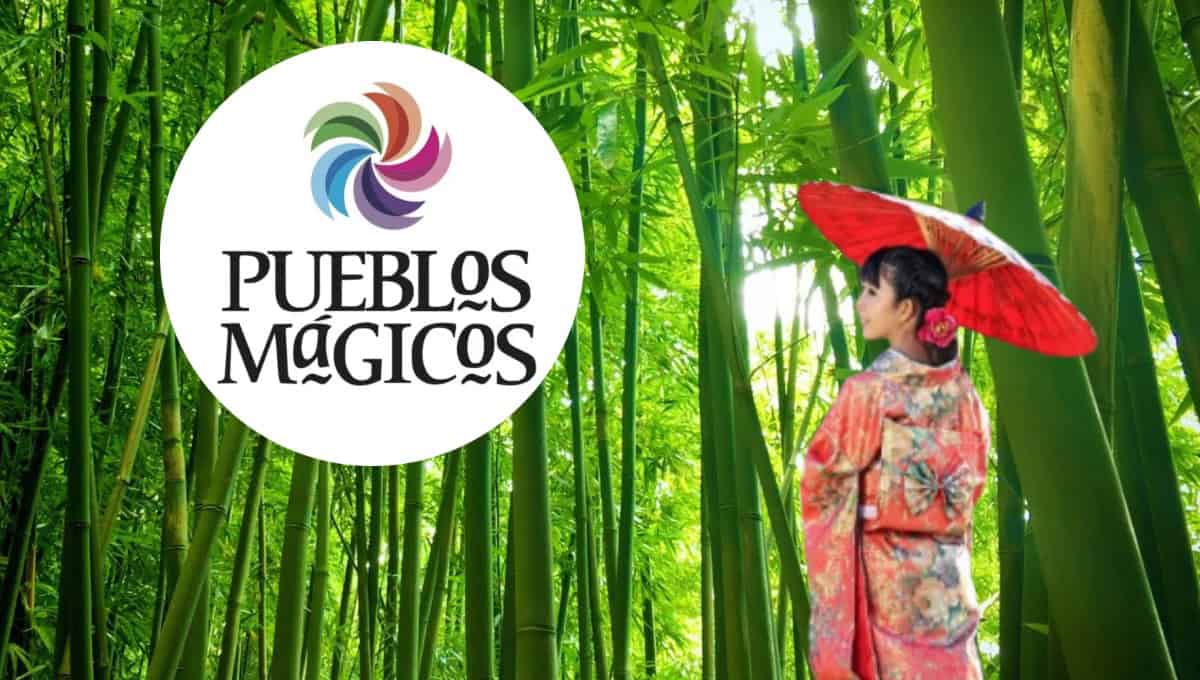 Conoce el pequeño Japón ubicado en un Pueblo Mágico de Puebla