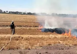 En descontrol la quema de Gavilla en Etchojoa