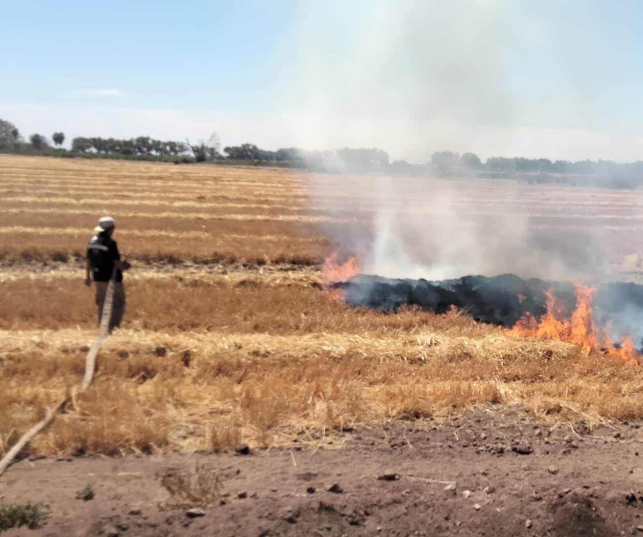 Arde Etchojoa por la quema de gavilla