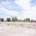 Rastro Municipal Viejo se convertiría en plaza multifuncional este año