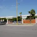 Admiten a nuevos búhos en la Unison Cajeme