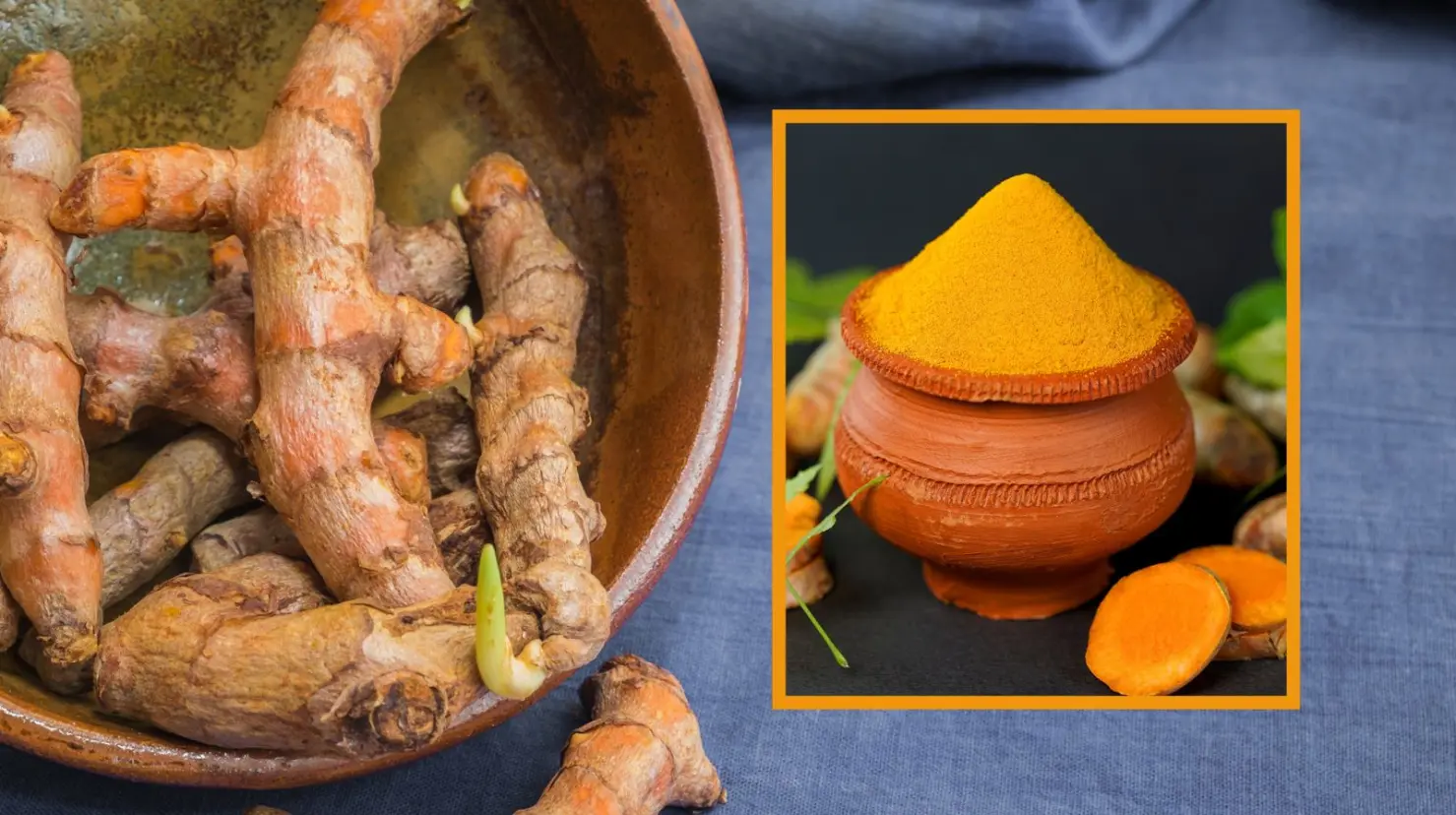 3 usos que le puedes dar a la cúrcuma que tal vez no conocías ¿Cómo consumirla?