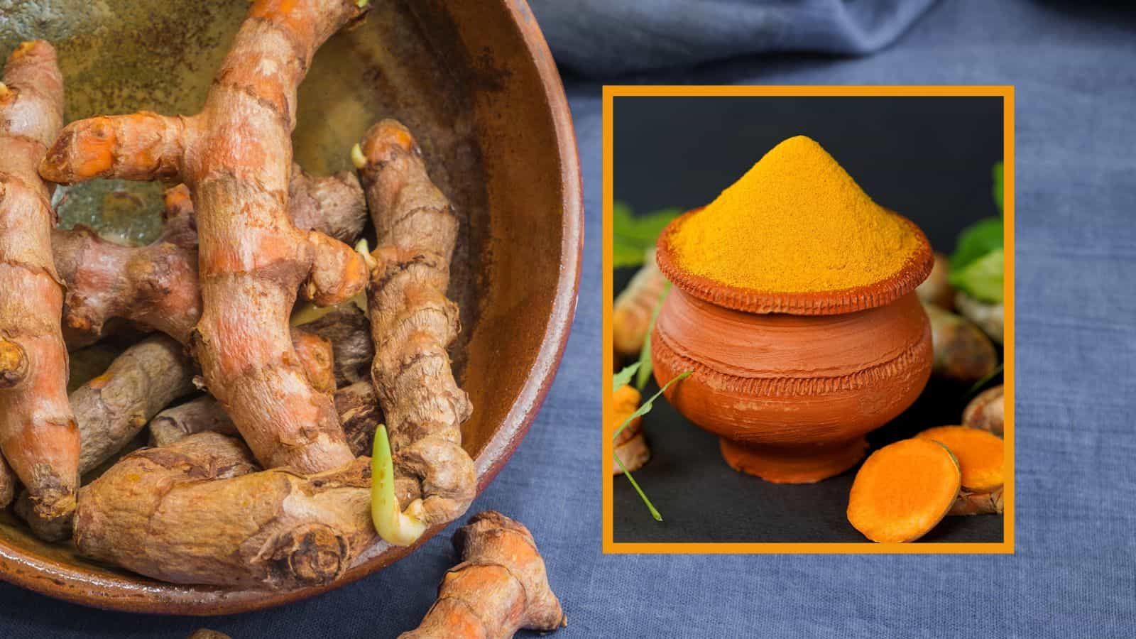 3 usos que le puedes dar a la cúrcuma que tal vez no conocías ¿Cómo consumirla?