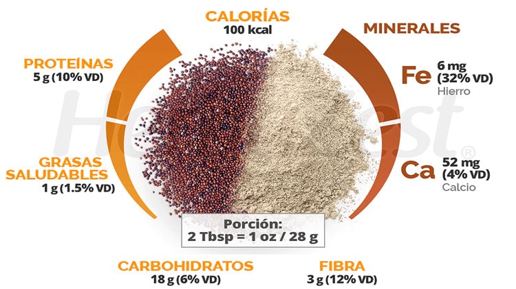 imagen-cuerpo imagen-cuerpo