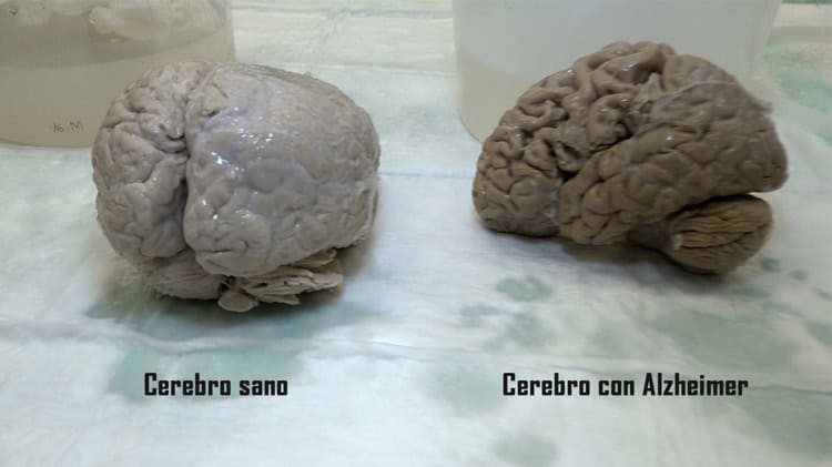 imagen-cuerpo imagen-cuerpo