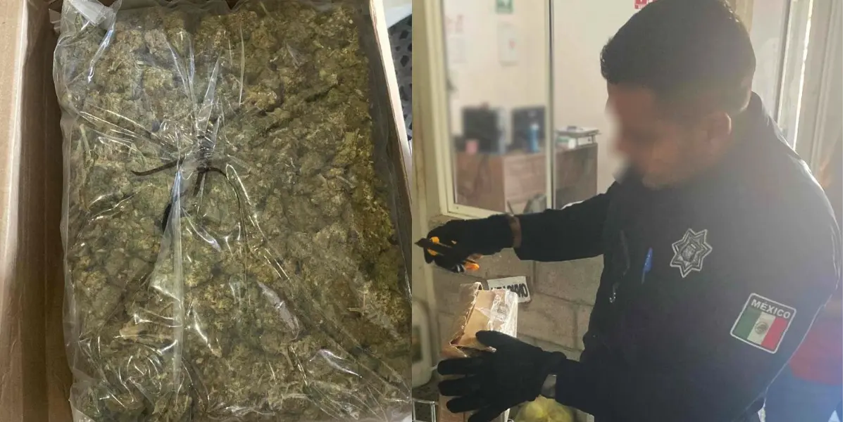 Hallan paquetes de mariguana en paquetería de Ciudad Obregón